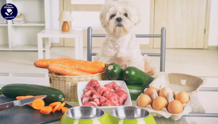 Alimentos Saudáveis Para Seu Pet